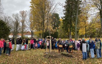 2025-10-27_liliovnik